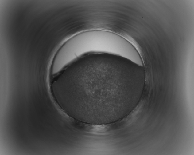 X0000089701144200707121349