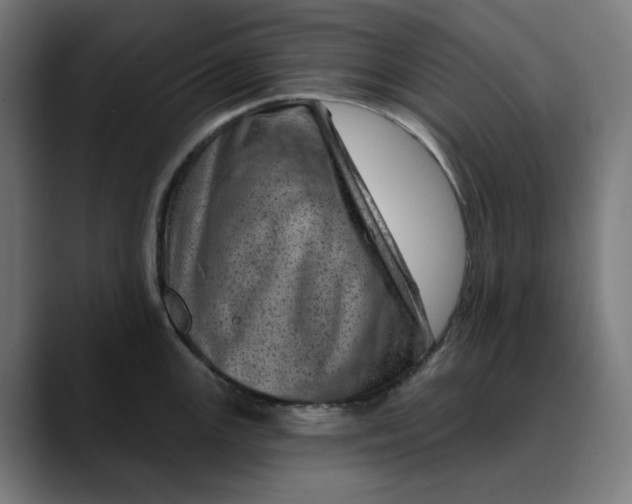 X0000089701147200707121349