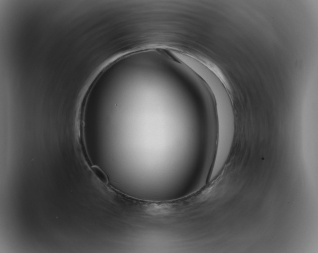 X0000089701148200707121349