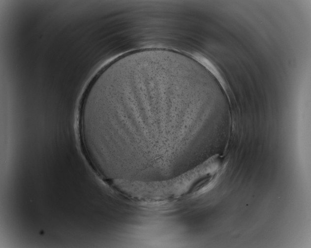 X0000089701149200707121349