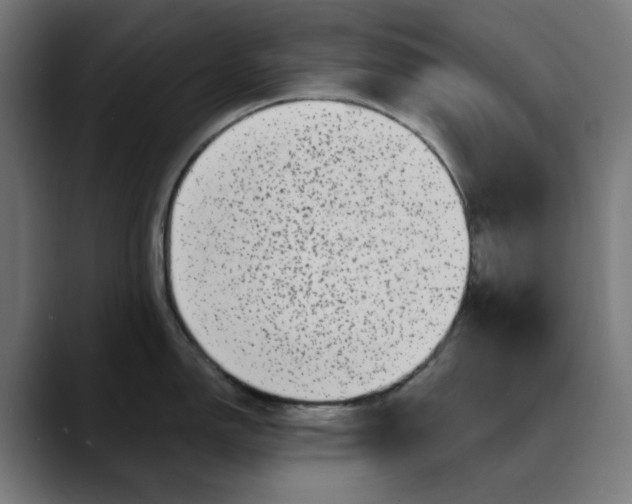 X0000089701150200707121349