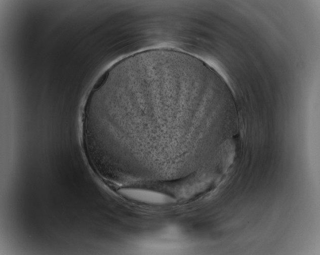 X0000089701151200707121349