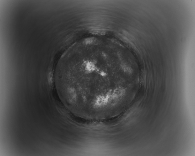 X0000089701154200707121349