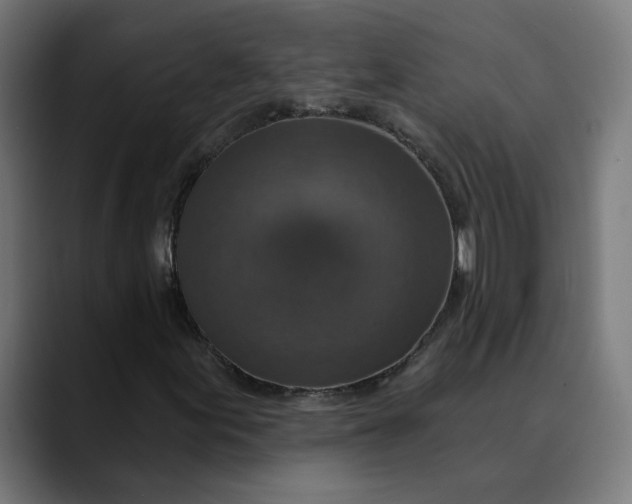 X0000089701155200707121349