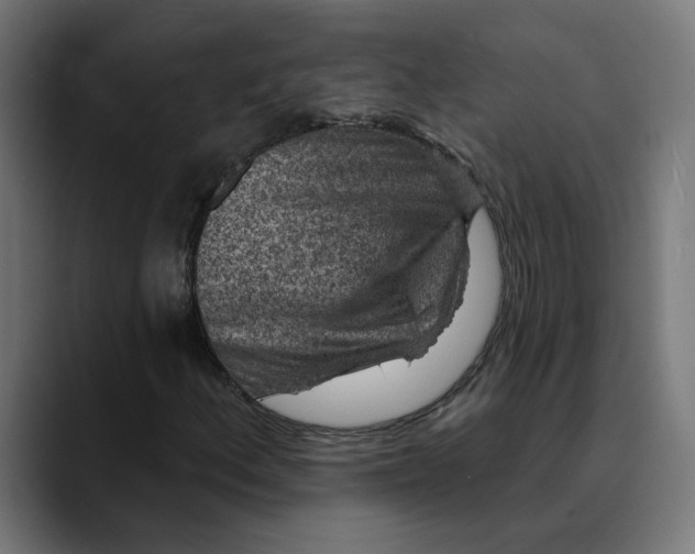 X0000089701156200707121349