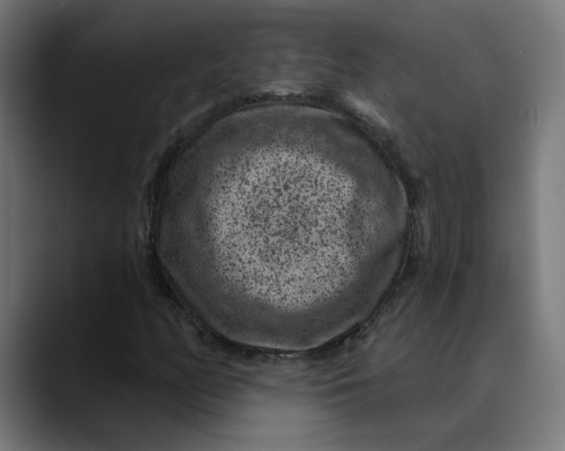 X0000089701158200707121349