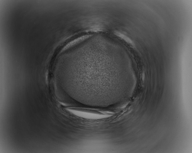 X0000089701160200707121349