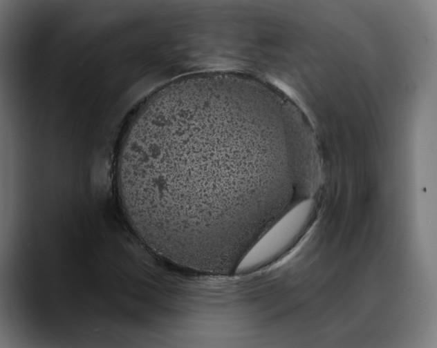 X0000089701163200707121349