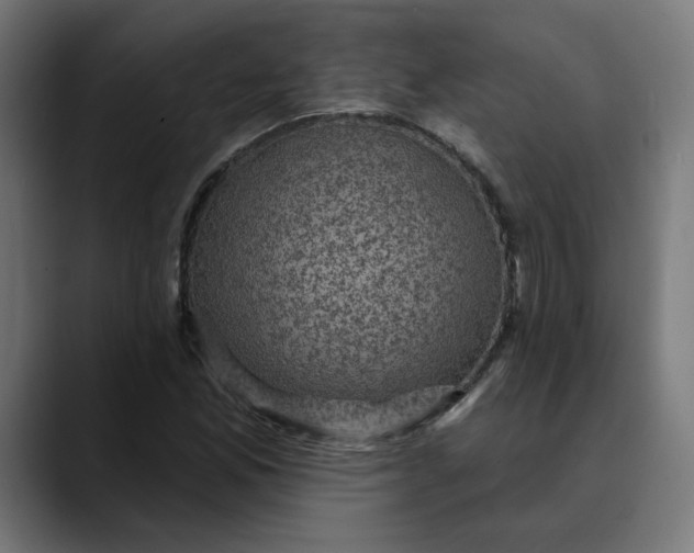 X0000089701165200707121349