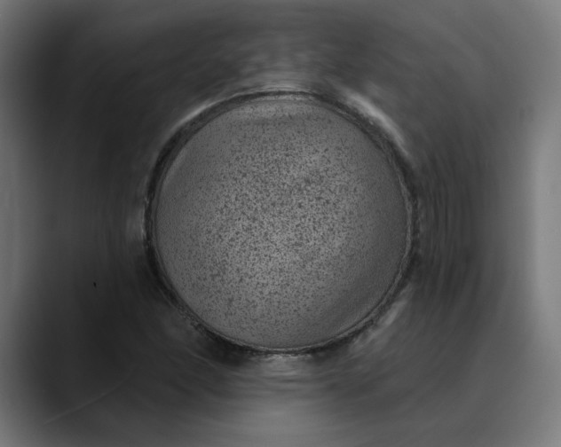 X0000089701166200707121349