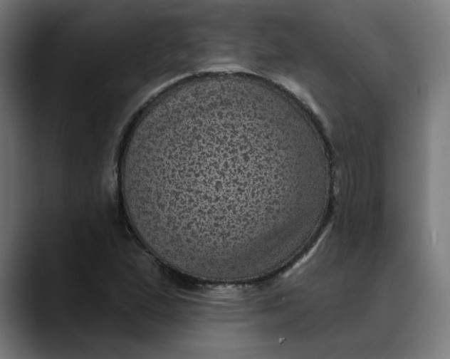 X0000089701167200707121349