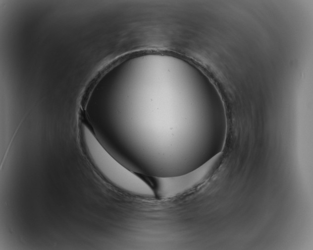 X0000089701168200707121349