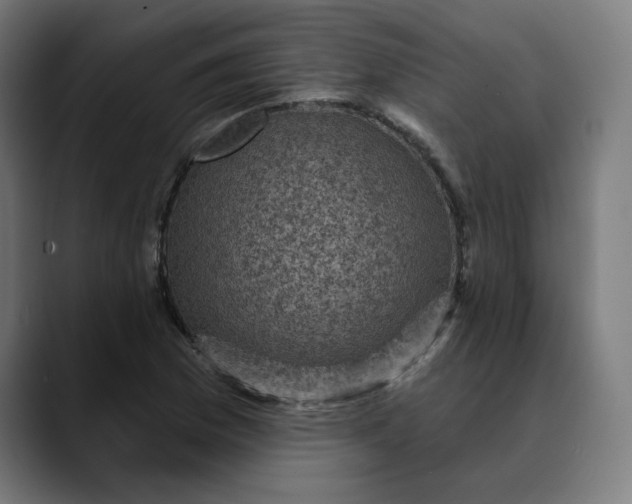 X0000089701169200707121349