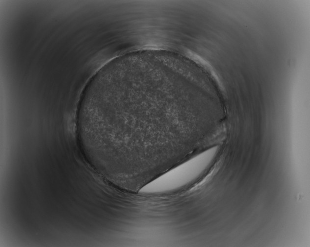 X0000089701170200707121349