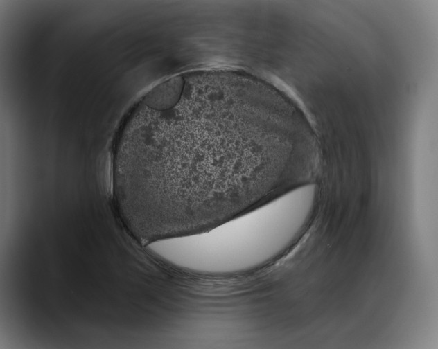 X0000089701171200707121349