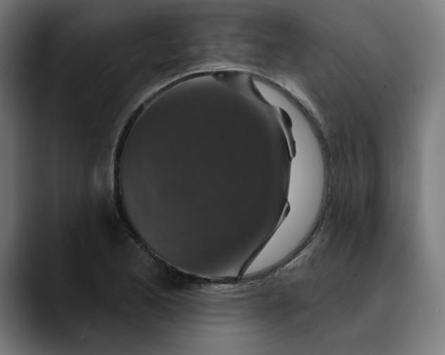 X0000089701173200707121349