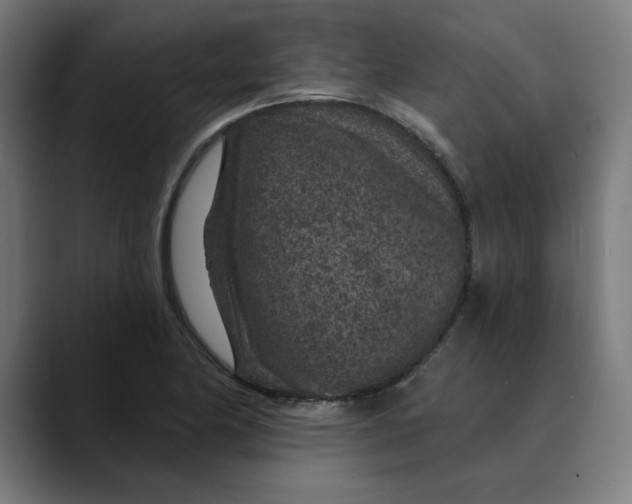 X0000089701174200707121349