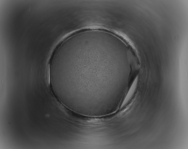 X0000089701175200707121349