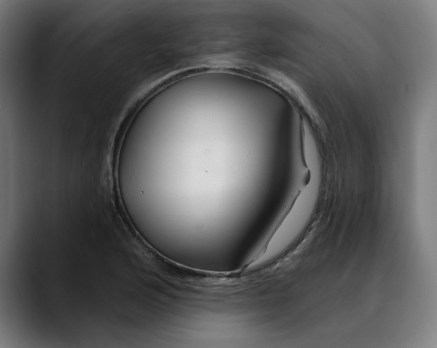 X0000089701176200707121349