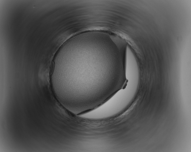 X0000089701177200707121348