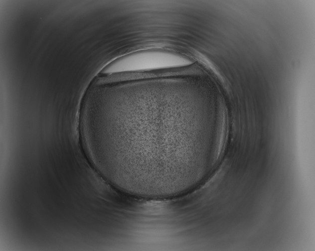 X0000089701178200707121348