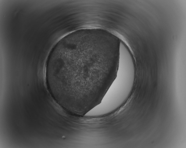 X0000089701179200707121348