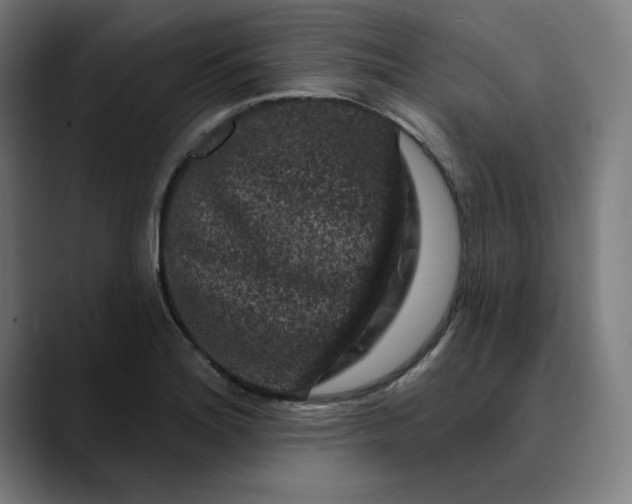 X0000089701180200707121348