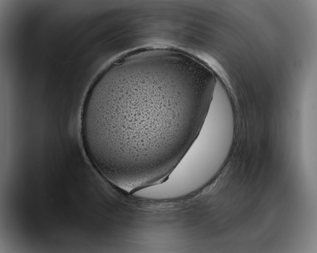 X0000089701183200707121348