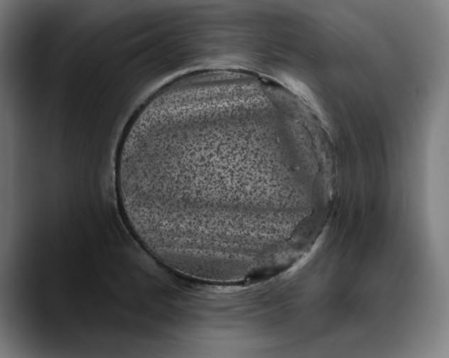 X0000089701184200707121348