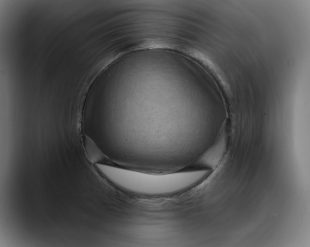 X0000089701185200707121348