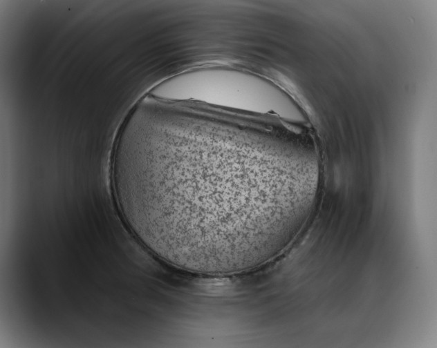 X0000089701186200707121348