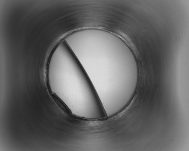 X0000089701188200707121348