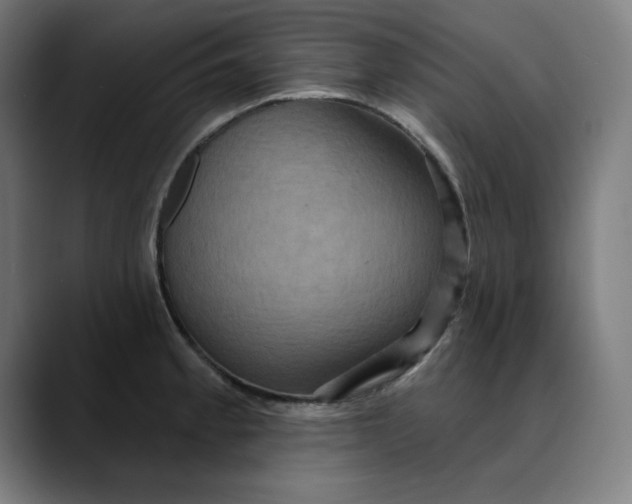 X0000089701189200707121348