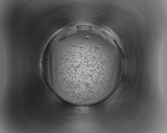 X0000089701190200707121348