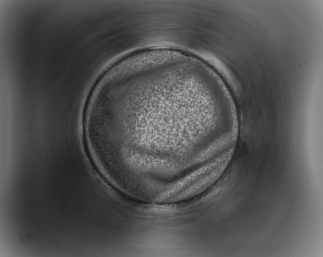 X0000089701191200707121348