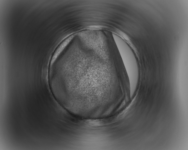 X0000089701194200707121348