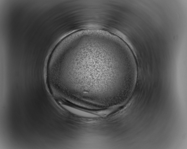 X0000089701195200707121348