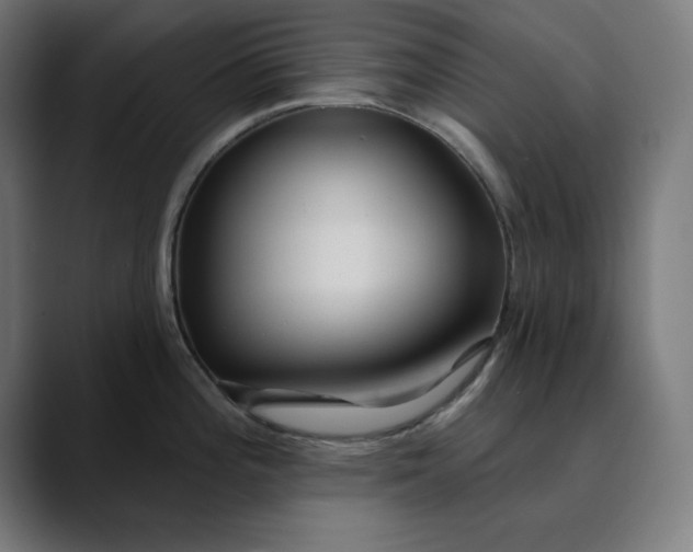 X0000089701196200707121348