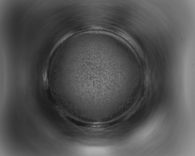 X0000089701198200707121348