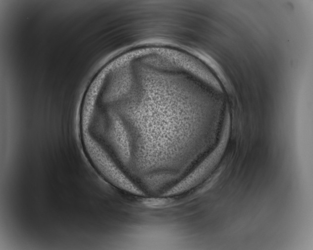 X0000089701199200707121348