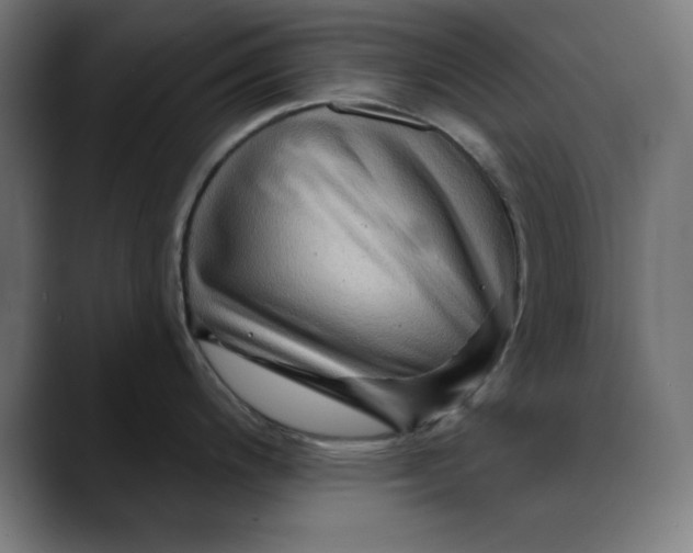 X0000089701200200707121348