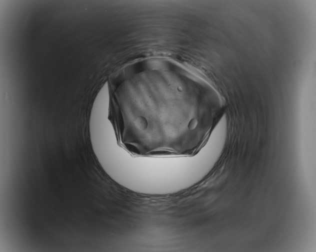 X0000089701202200707121348