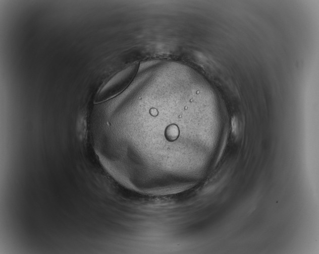 X0000089701203200707121348