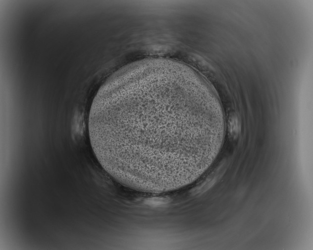 X0000089701204200707121348