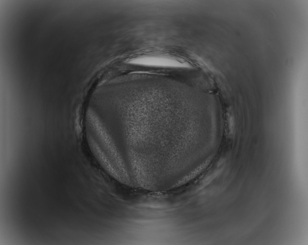 X0000089701206200707121348