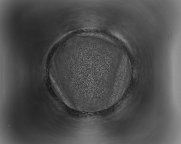 X0000089701208200707121348