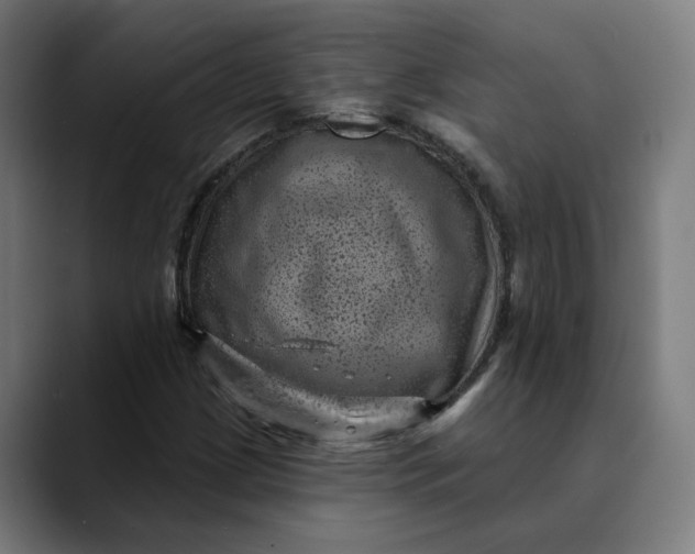 X0000089701209200707121348