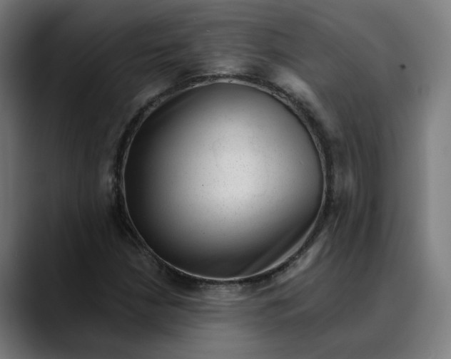 X0000089701210200707121348