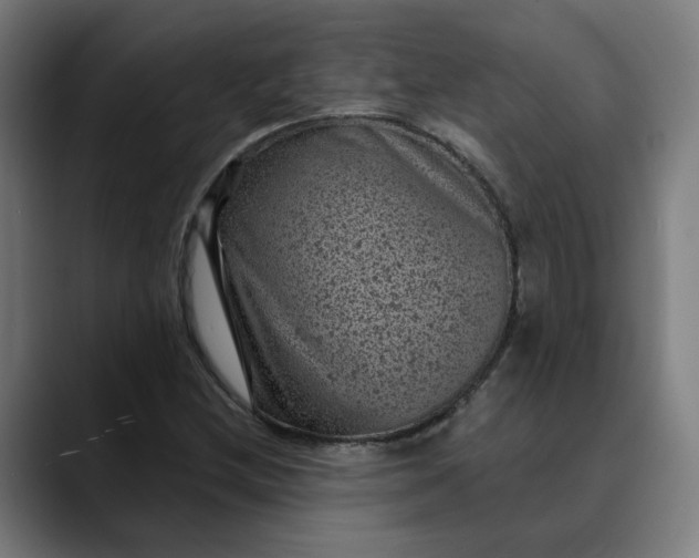 X0000089701212200707121348