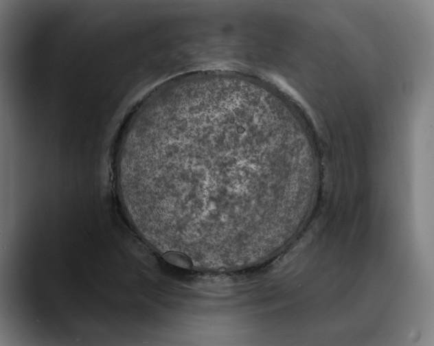 X0000089701215200707121348